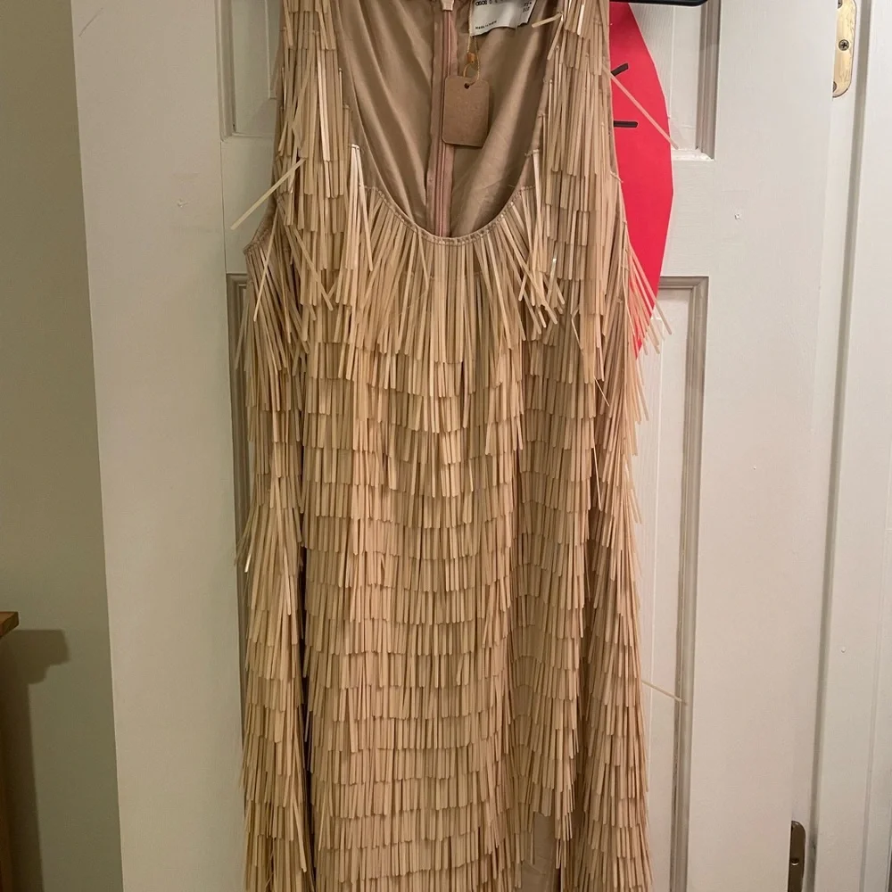 ASOS Elegant Beige Fringe Dress - Picture 1 of 5